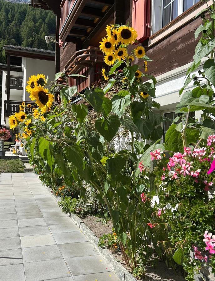Haus Chalet Arnika Saas-Grund Zewnętrze zdjęcie